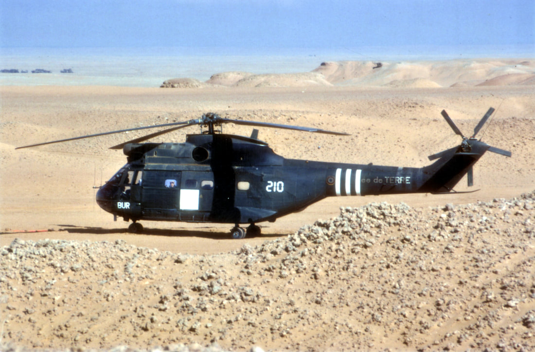 Daguet : PUMA n° 1135/BUR/210, vu en Irak, en février 1991. Alat.fr