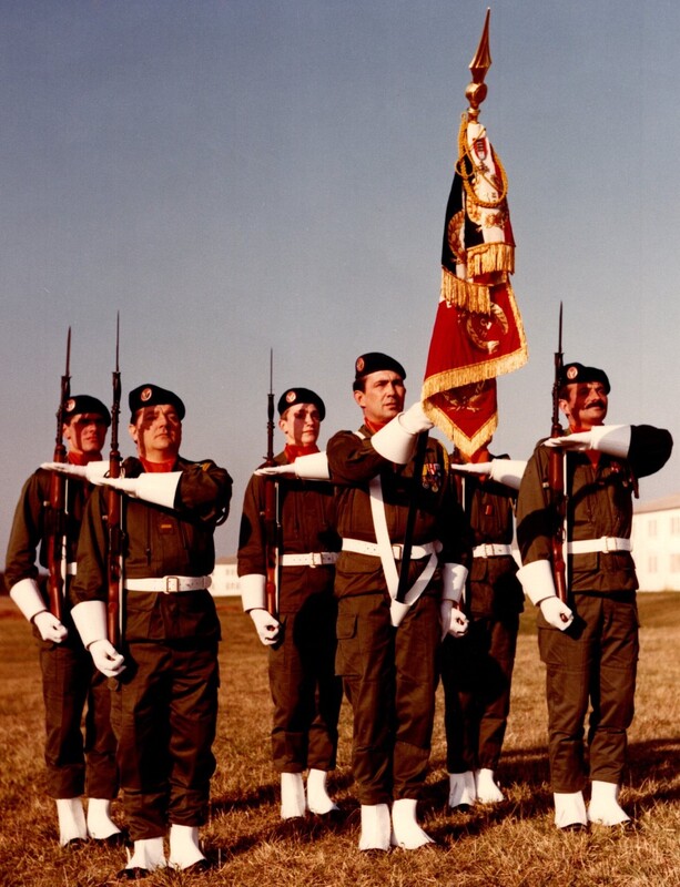 L'étendard du 3e RHC et sa garde, le 06 août 1981, lors de la prise d'armes de passation de commandement entre les lieutenants-colonels de REVIERS de MAUNY et PROISY Alat.fr