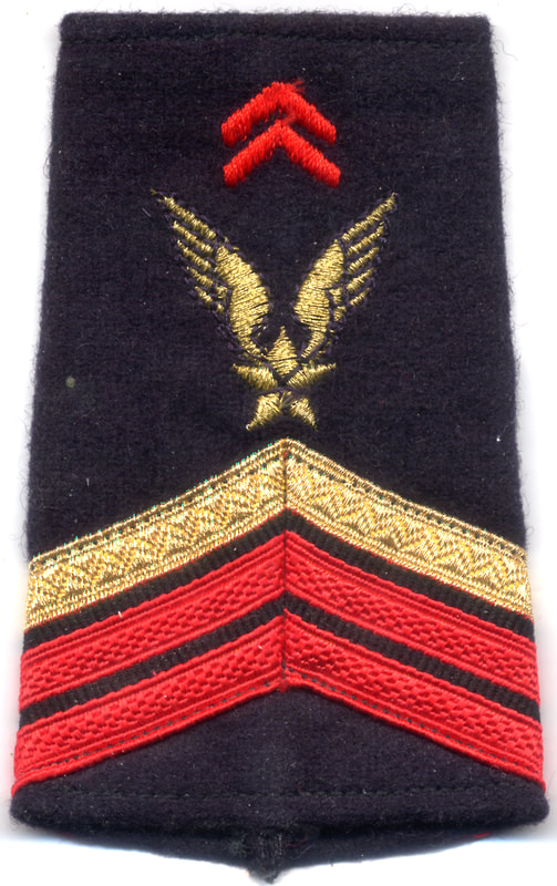 Fourreau épaule brigadier-chef PDL ALAT avant 2005 Alat.fr