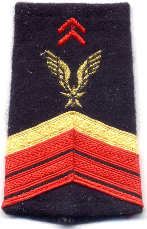 Fourreau épaule brigadier-chef engagé PDL ALAT avant 2005 Alat.fr