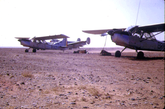 2e PA ZOS,  des NORD 3400 (au premier plan, le BRN) lors d'une opération au sud d'El-Abiod, en 1961. Alat.fr