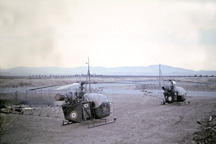 Pelotons avions de la 10e DP : ALOUETTE II du 1er PMAH RG, à Tlemcen-Zenata, en 1961. Alat.fr