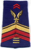 Fourreau épaule brigadier-chef engagé plus de 15 ans Alat après 2005 Alat.fr