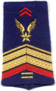 Fourreau épaule brigadier-chef engagé plus de 10 ans Alat après 2005 Alat.fr