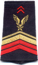 Fourreau épaule brigadier-chef engagé ADL ALAT avant 2005 Alat.fr