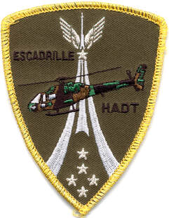 Patch APS EHADT type 1 Alat.fr