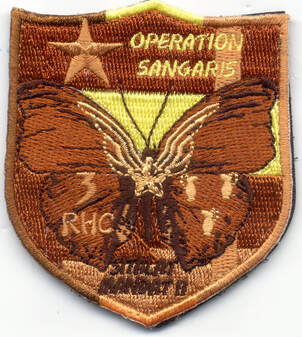 Patch en tissu du 3e RHC, opération Sangaris SITALAT n° 2, Type 2, grand papillon marron Alat.fr