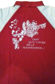 Tee-shirt EAALAT 2e EMH, avec manches blanches, en 2000 (dos) Alat.fr