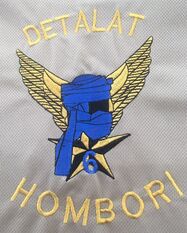 Tee-shirt DETALAT Hombori mandat n° 6, logo dos en gros plan Alat.fr