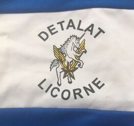Tee-shirt DETALAT Licorne logo en gros plan Alat.fr