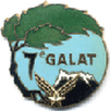 Insigne GALAT 7 Alat.fr