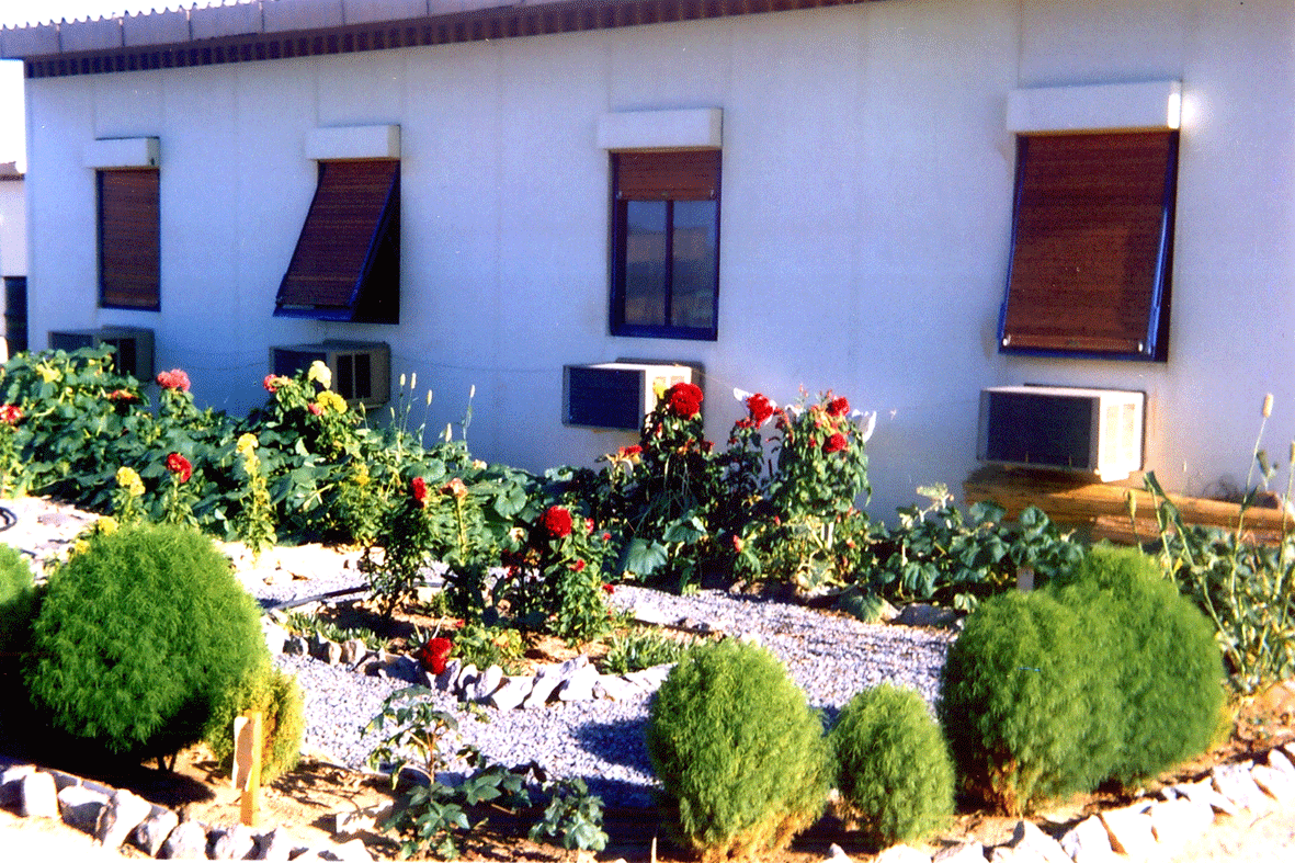PHC CEMO, ​Les installations d'In Amguel en 1964, photo 2. Alat.fr
