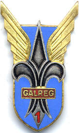 Insigne 1er GALREG Drago dos argenté Alat.fr