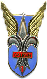 Insigne 1er GALREG Drago dos doré Alat.fr