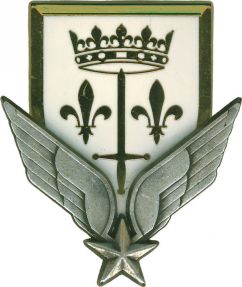 Insigne métal PICHARD-BALME de la campagne Jeanne d'Arc 2000 Alat.fr