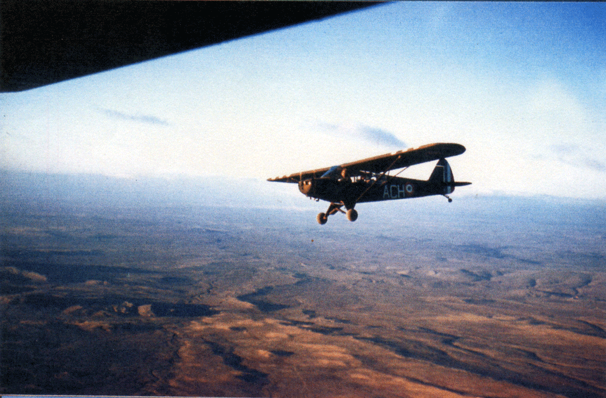 Pelotons avions de la 10e DP : PIPER L-18C, ne sert plus qu'aux liaisons après février 1957. Alat.fr