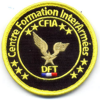 Patch division formation technique NH 90 Alat.fr