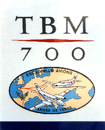 Autocollant TBM 700 Mappemonde Alat.fr
