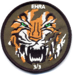 Patch 3e EHRA du 3e RHC Type 2