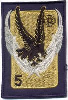 Patch tissu, type 2 de l'insigne régimentaire 5e RHC type 2 Alat.fr