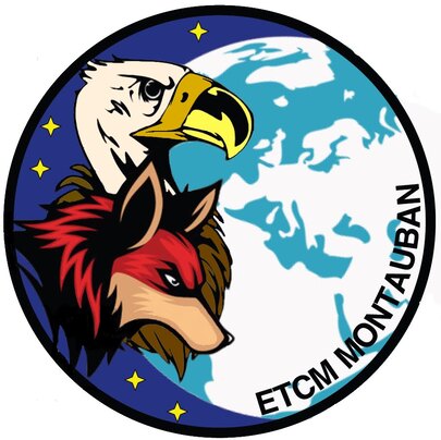 Version numérique du patch tissu de l'ETCM du 9e RSAM de Montauban Alat.fr