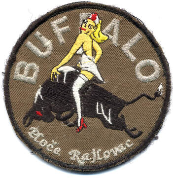 Patch APS escadrille Buffalo BATALAT SFOR Alat.fr