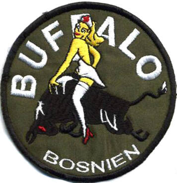 Patch escadrille Buffalo BATALAT SFOR Alat.fr