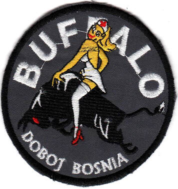 Patch escadrille Buffalo BATALAT SFOR Alat.fr