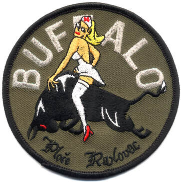 Patch APS escadrille Buffalo BATALAT SFOR Alat.fr