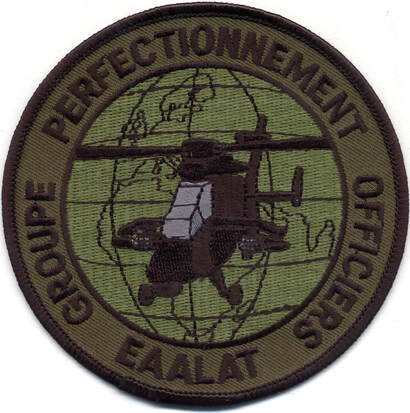 Patch APS groupe de perfectionnement des officiers kaki EAALAT Alat.fr