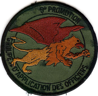 Patch APS 9e promotion groupe des Lieutenants EALAT, fond vert Alat.fr