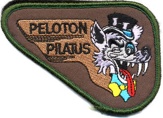 Patch APS, du peloton PILATUS, tête de renard, de la 18e ETCM de Montauban Alat.fr