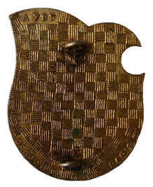 Dos insigne GALDIV 3, DRAGO, face argent, avec fausse homologation A 789, guilloché, plat et doré, avec monture deux anneaux Alat.fr