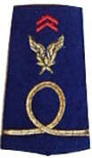 Fourreau épaule élève officier Alat après 2005 Alat.fr
