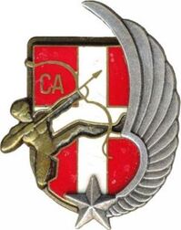 insigne de la compagnie d'appui du 1er RCAM Boussemart Alat.fr