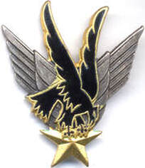 Insigne GALDIV 11 Drago ailes argentées Alat.fr