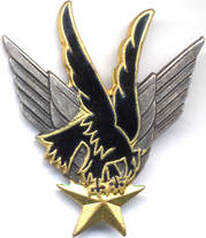 Insigne GALDIV 11 Drago ailes argentées Alat.fr