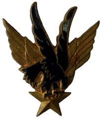 Insigne GALDIV 11 Drago ailes dorées Alat.fr