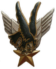 Insigne GALDIV 11 Drago ailes argentées réédition 1981 Alat.fr