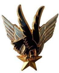 Insigne GALDIV 11 Drago ailes argentées façon argent Alat.fr