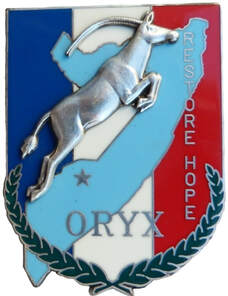 Insigne général opération ORYX, Balme Alat.fr