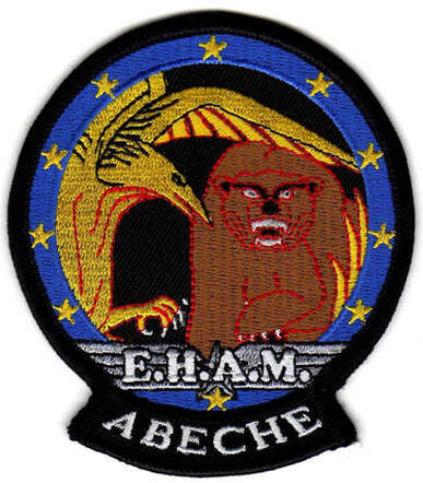 Patch APS de l'EHAM de l'EUFOR Alat.fr