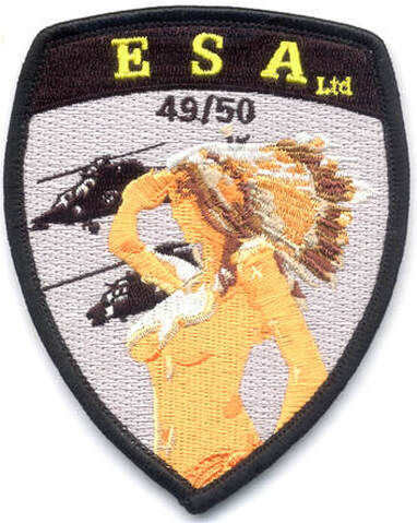 Patch APS ESA type 3, numéroté EAALAT Alat.fr