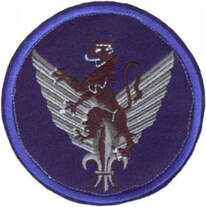 Patch tissu rond insigne régimentaire 6e RHC bleu foncé Alat.fr