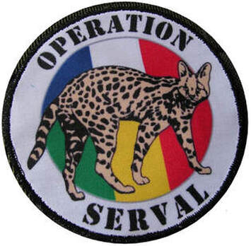 insigne général type 1, en couleurs type 2 de l'opération SERVAL Alat.fr  