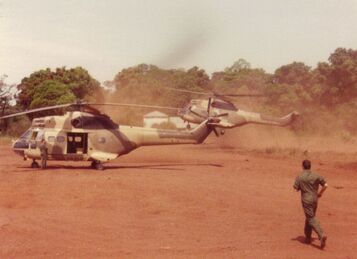 Opération BARRACUDA : PUMA stationnés devant la tour de contrôle de Bangui, sur un terrain en herbe (6). Alat.fr