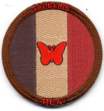 Patch en tissu du 3e RHC, opération Sangaris SITALAT n° 2, Type 1, petit papillon et drapeau tricolore Alat.fr