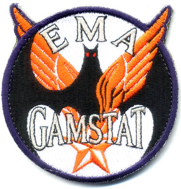 Patch de l'EMA du GAM-STAT type 2 Alat.fr
